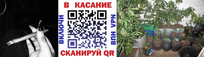 Виды наркотиков купить Тверь Гашиш  Каннабис  A-PVP  МЕФ 