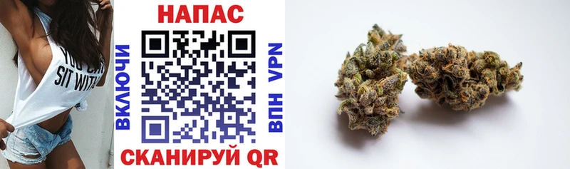 где найти наркотики  MEGA как зайти  МАРИХУАНА THC 21%  дарк нет наркотические препараты  Тверь 